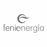 Fenie Energia